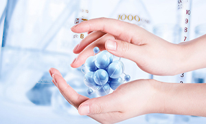 翻譯公司筆譯服務(wù)